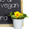 Corso a Torino di Cucina Vegan