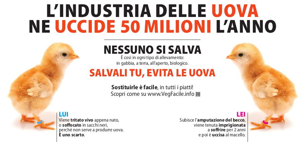 Manifesto 6x3 - L'industria della uova ne uccide 50 milioni l'anno
